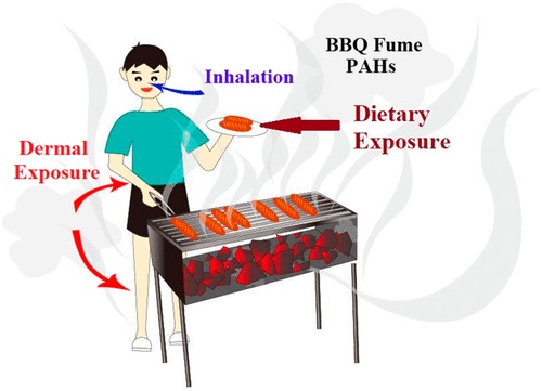 Importance of Dermal Absorption of Polycyclic Aromatic Hydrocarbons Derived from Barbecue Fumes